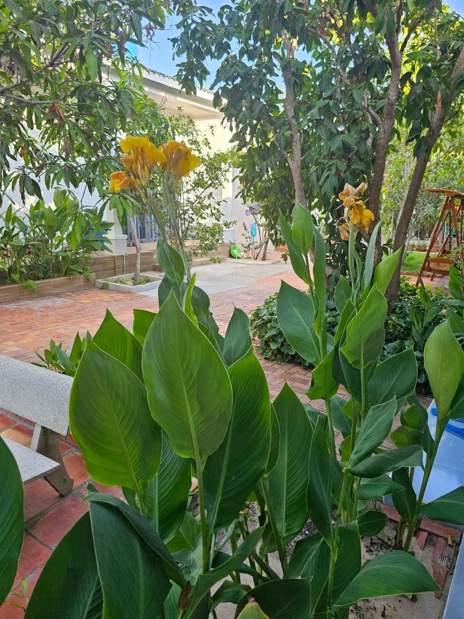 Cay Phuong Guesthouse Mũi Né Exteriér fotografie